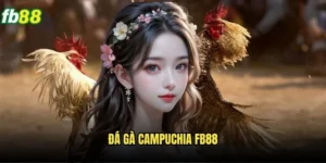 Đá Gà Campuchia Fb88 - Trải Nghiệm Đá Gà Đỉnh Cao 7 Đá Gà Campuchia Fb88