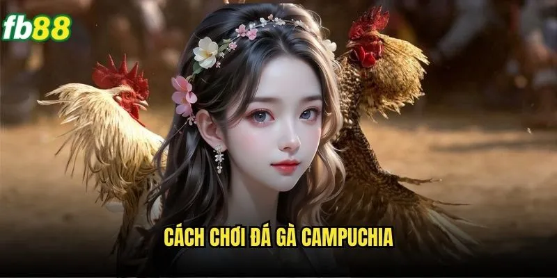 Đá Gà Campuchia Fb88 - Trải Nghiệm Đá Gà Đỉnh Cao 3 Cách chơi đá gà Campuchia