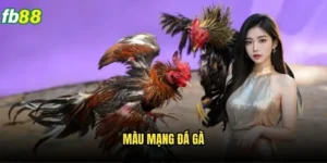 Màu Mạng Đá Gà Fb88 - Bí Mật Dự Đoán Chính Xác 9 Màu Mạng Đá Gà