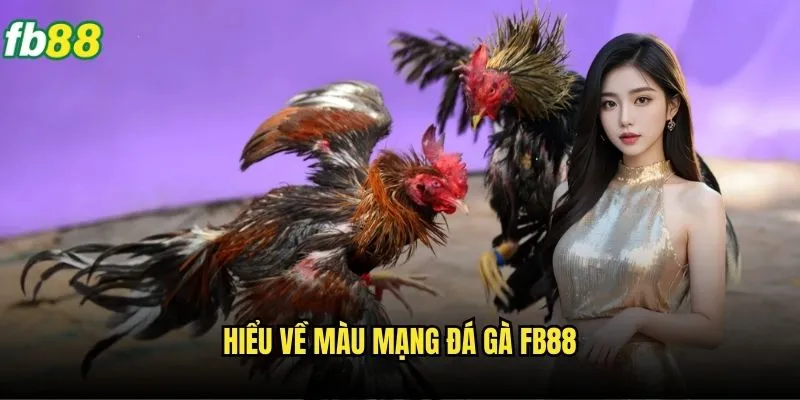 Màu Mạng Đá Gà Fb88 - Bí Mật Dự Đoán Chính Xác 2 Hiểu về màu mạng đá gà Fb88