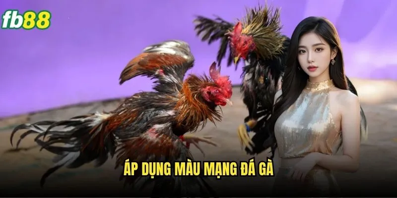 Màu Mạng Đá Gà Fb88 - Bí Mật Dự Đoán Chính Xác 3 Áp dụng màu mạng đá gà