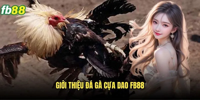 Đá Gà Cựa Dao Fb88 - Môn Nghệ Thuật Đá Gà Đặc Sắc 2 Giới thiệu đá gà cựa dao Fb88