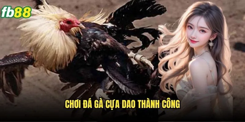 Đá Gà Cựa Dao Fb88 - Môn Nghệ Thuật Đá Gà Đặc Sắc 3 Chơi đá gà cựa dao thành công