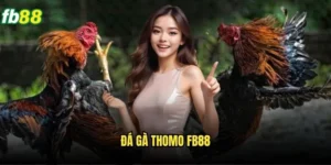 Đá Gà Thomo Fb88 - Sân Chơi Đá Gà Đẳng Cấp Quốc Tế 5 Đá Gà Thomo Fb88