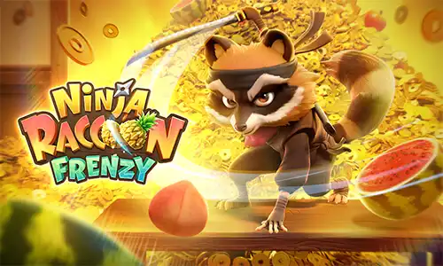 Trang chủ 14 NinjaRaccoonFrenz